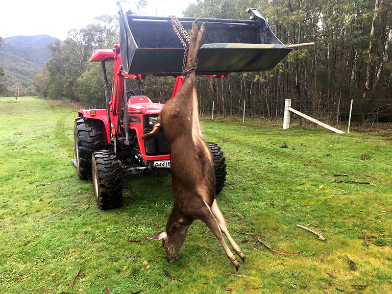 sambar on tractor