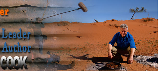 andrew dwyer television
