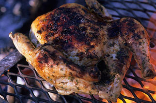 andrew dwyer recipe grilled chicken